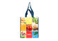 Non Woven Polypropylene Fabric Plastic Shopping Bags , Non Woven Reusable Bags supplier