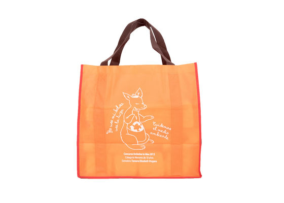 Square Bottom Eco Friendly Non Woven Shopping Bags With Different Colors And Design
